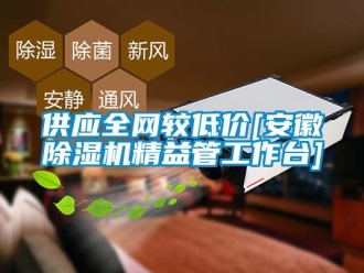 行业新闻供应全网较低价[安徽除湿机精益管工作台]