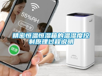 知识百科精密恒温恒湿箱的温湿度控制原理过程说明
