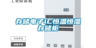 存储电子IC恒温恒湿存储柜