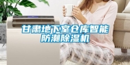 甘肃地下室仓库智能防潮除湿机