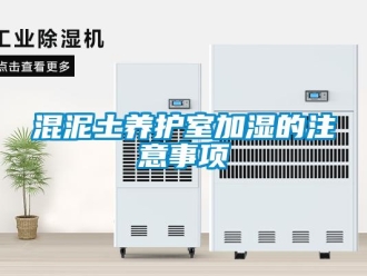 行业新闻混泥土养护室加湿的注意事项