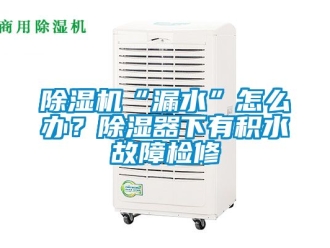 企业新闻除湿机“漏水”怎么办？除湿器下有积水故障检修
