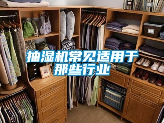 企业新闻抽湿机常见适用于那些行业