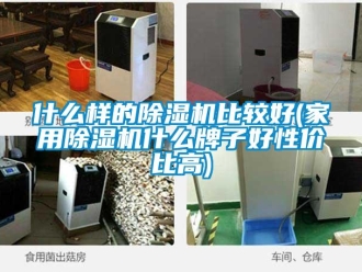 常见问题什么样的除湿机比较好(家用除湿机什么牌子好性价比高)