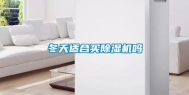冬天适合买除湿机吗
