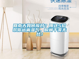 常见问题回南天如何应对？用这5招帮你远离湿气，瞬间干爽无比！