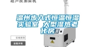 温州步入式恒温恒湿实验室 大型湿热老化房