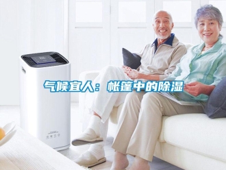 行业新闻气候宜人：帐篷中的除湿