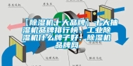【除湿机十大品牌】十大抽湿机品牌排行榜、工业除湿机什么牌子好、除湿机品牌网
