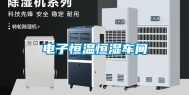电子恒温恒湿车间