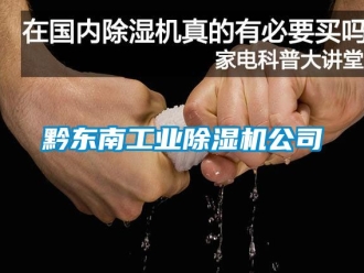新闻资讯黔东南工业除湿机公司