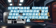 除湿机 抽湿机 特种除湿机 非标定制特种除湿机 管道除湿机、吊装除湿机 恒温恒湿机 风(水)冷型恒温恒湿机