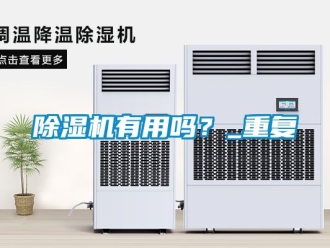 行业新闻除湿机有用吗？_重复
