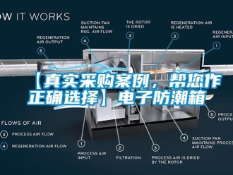 企业新闻【真实采购案例，帮您作正确选择】电子防潮箱
