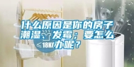 什么原因是你的房子潮湿、发霉；要怎么办呢？
