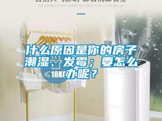 常见问题什么原因是你的房子潮湿、发霉；要怎么办呢？