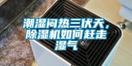 潮湿闷热三伏天，除湿机如何赶走湿气