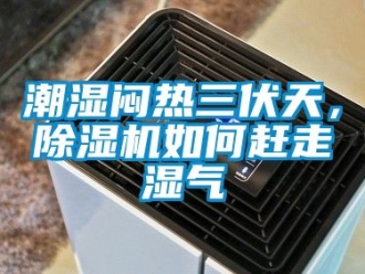 企业新闻潮湿闷热三伏天，除湿机如何赶走湿气