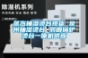 蒸汽抽湿烫台现货 泉州抽湿烫台 羽田锅炉烫台一体机供应