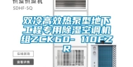 双冷高效热泵型地下工程专用除湿空调机组ZCK60- 110FZR