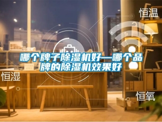 企业新闻哪个牌子除湿机好—哪个品牌的除湿机效果好