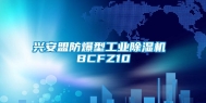兴安盟防爆型工业除湿机 BCFZ10