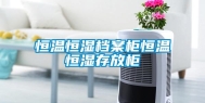 恒温恒湿档案柜恒温恒湿存放柜