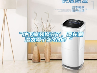 企业新闻“地下室装修完了，现在潮湿发霉了怎么办？”