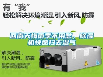 行业新闻回南天梅雨季不用愁，除湿机快速扫去湿气