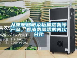 企业新闻从电暖器暖菜板抽湿机等产品，看消费需求的再次分化