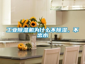 企业新闻工业除湿机为什么不除湿，不出水