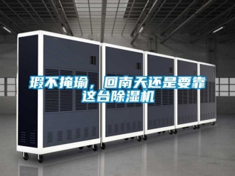 行业新闻瑕不掩瑜，回南天还是要靠这台除湿机