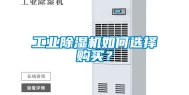 工业除湿机如何选择购买？