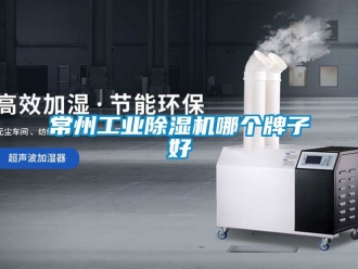 常见问题常州工业除湿机哪个牌子好
