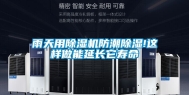 雨天用除湿机防潮除湿!这样做能延长它寿命