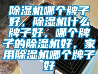 常见问题除湿机哪个牌子好，除湿机什么牌子好，哪个牌子的除湿机好，家用除湿机哪个牌子好