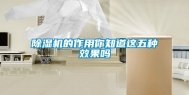 除湿机的作用你知道这五种效果吗