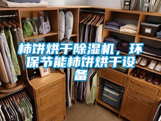行业新闻柿饼烘干除湿机，环保节能柿饼烘干设备