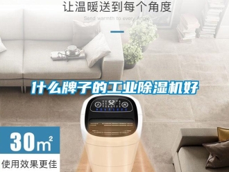 知识百科什么牌子的工业除湿机好