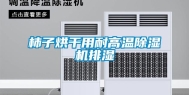 柿子烘干用耐高温除湿机排湿
