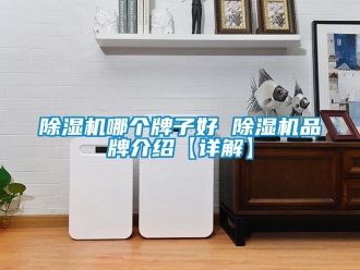 企业新闻除湿机哪个牌子好 除湿机品牌介绍【详解】