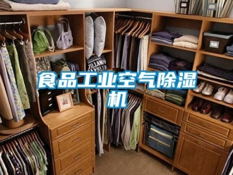 常见问题食品工业空气除湿机