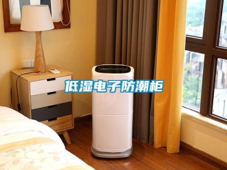 企业新闻低湿电子防潮柜