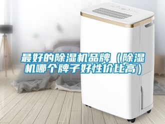 企业新闻最好的除湿机品牌（除湿机哪个牌子好性价比高）