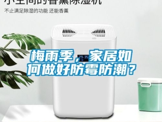 常见问题梅雨季，家居如何做好防霉防潮？