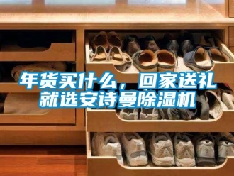 企业新闻年货买什么，回家送礼就选安诗曼除湿机