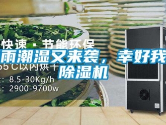 知识百科阴雨潮湿又来袭，幸好我有除湿机