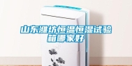 山东潍坊恒温恒湿试验箱哪家好