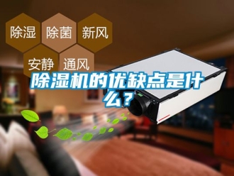 企业新闻除湿机的优缺点是什么？