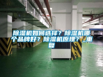 企业新闻除湿机如何选择？除湿机哪个品牌好？除湿机原理？_重复